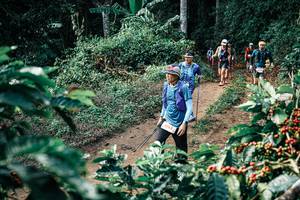 BIB: 
                            <button type="button" onclick="openModal(25850530)" class="btn btn-primary btn-sm float-right btn-popup" data-toggle="modal" data-target=".modal-high-quality">
                        <i class="fas fa-shopping-cart"></i> Add to Cart
                    </button>
                                            <button type="button" onclick="isThisMe(25850530, true)" class="btn btn-success btn-sm float-right btn-popup btn-isme hidden" data-toggle="tooltip" data-placement="bottom" title="นี่คือรูปของคุณใช่ไหม คลิกที่นี่เพื่อเอาเข้าอัลบั้ม">
                        <i class="fas fa-plus"></i> Add to album
                    </button>
                    <button type="button" onclick="isThisMe(25850530, false)" class="btn btn-warning btn-sm float-right btn-popup btn-isnotme hidden">
                        <i class="fas fa-ban"></i> Remove from album
                    </button>